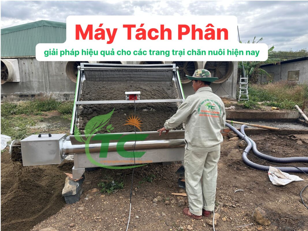 Giải đáp những thắc mắc thường gặp về máy tách phân