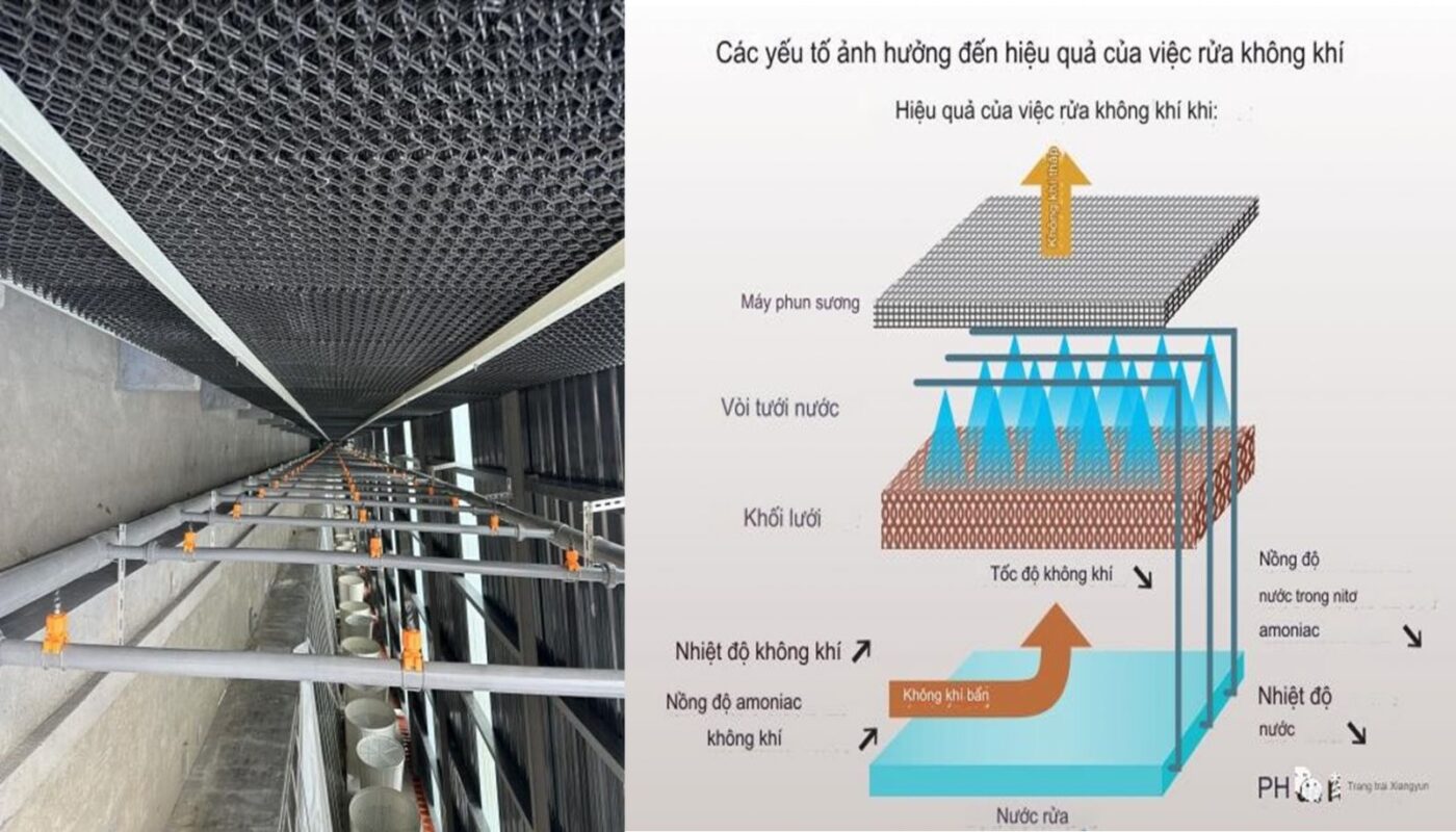 Tấm khử mùi và thanh lọc khí độc cho chuồng trại