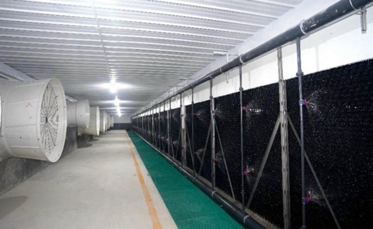 Tấm khử mùi và thanh lọc khí độc cho chuồng trại