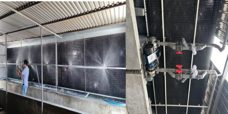 Tấm khử mùi và thanh lọc khí độc cho chuồng trại