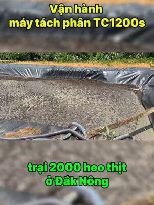 Lắp máy tách ép phân TC1200s cho trại 2000 heo thịt ở Đắk Nông