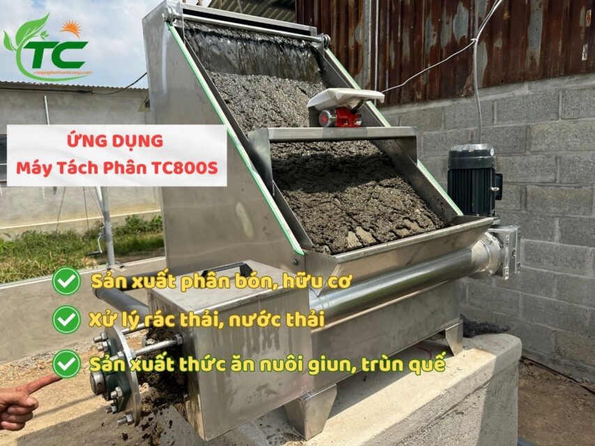 Dịch Tả Lợn Cổ Điển: Nguyên Nhân, Triệu Chứng, Cách Phòng Tránh