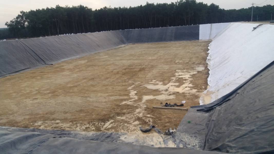 Lưu ý khi xây chuồng trại nuôi heo – Kỹ thuật xây dựng chuẩn, tiết kiệm chi phí